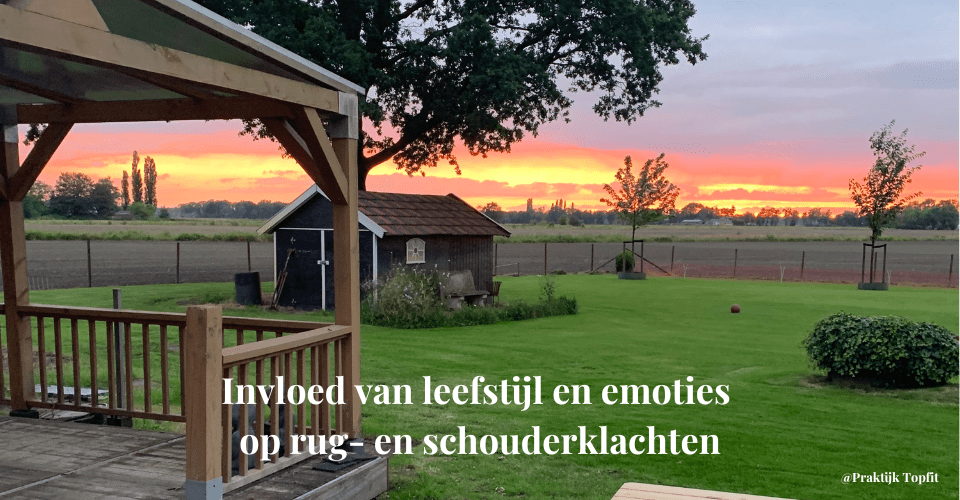 Invloed van leefstijl en emoties op rug- en schouderklachten